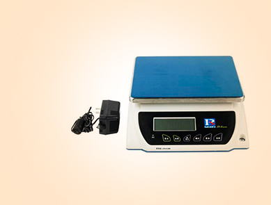 普瑞遜JS-03E電子計重秤 普瑞遜JS-03E電子計重秤