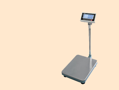 惠爾邦BW30-600kg電子臺(tái)秤
