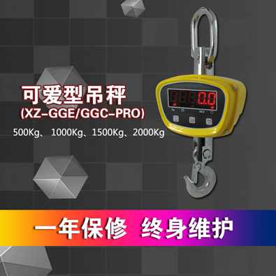 1噸電子吊秤 1噸電子吊秤