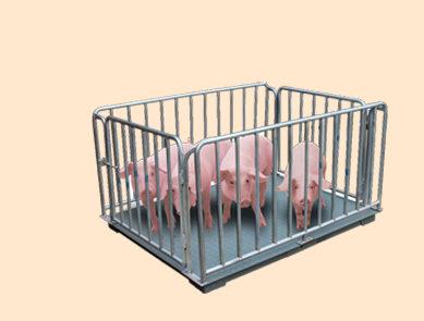 牲畜秤 0.5T-5T 牲畜秤 0.5T-5T