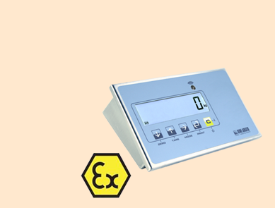 狄納喬 防爆稱重顯示器DFWLKI3GD 狄納喬 防爆稱重顯示器DFWLKI3GD
