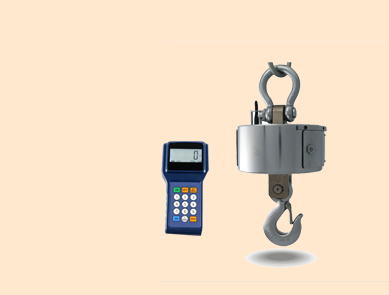 帶打印電子吊秤配無線遙控器 帶打印電子吊秤配無線遙控器