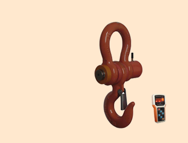 行車電子吊秤 行車電子吊秤