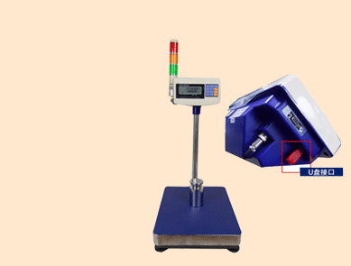 英展電子秤U盤存儲(chǔ)