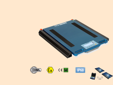 狄納喬WWSERF無線軸重秤 狄納喬WWSERF無線軸重秤