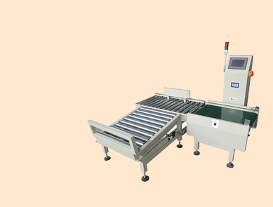 大量程檢重秤 大量程檢重秤