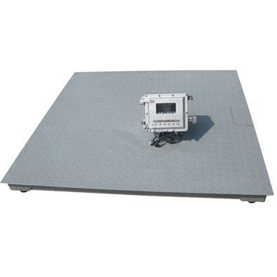 隔爆電子地磅 隔爆電子地磅