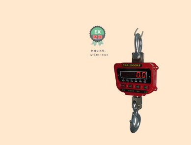 XZ-2噸防爆吊秤 XZ-2噸防爆吊秤