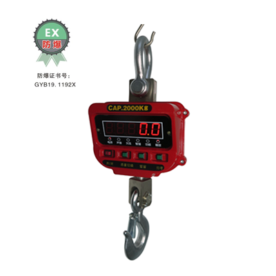 XZ-2噸防爆吊秤 XZ-2噸防爆吊秤