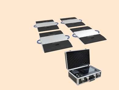 30噸軸重儀 30噸軸重儀