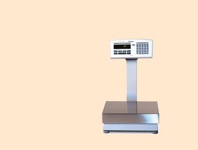 IBK60000G Precisa 普利賽斯工業天平 IBK60000G Precisa 普利賽斯工業天平